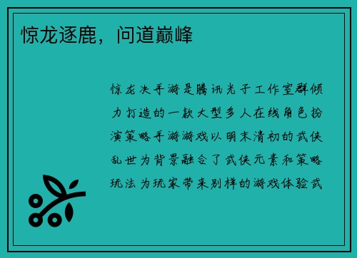 惊龙逐鹿，问道巅峰
